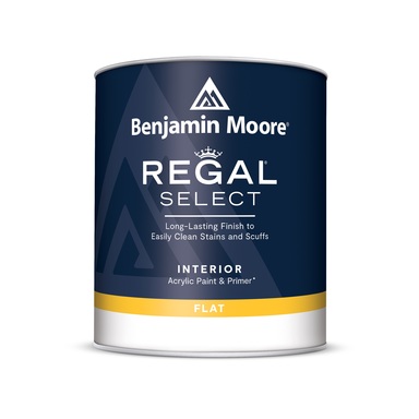 PAINT BM REGAL FLT B1 1QT