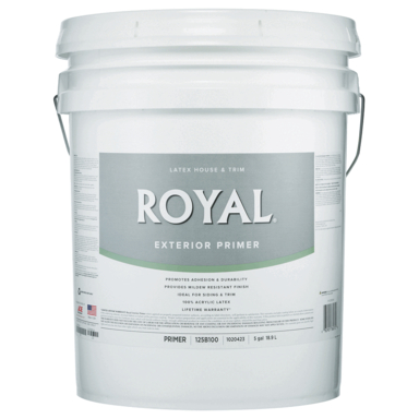 Ryl Ext P&p Flat Wht 5gl