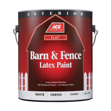 ACE B&F EXT FLAT WHT 1G