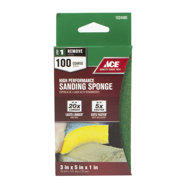 Sandng Sponge 100grt 1pk