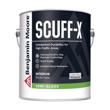 INTR LATX WL PAINT WT 1G