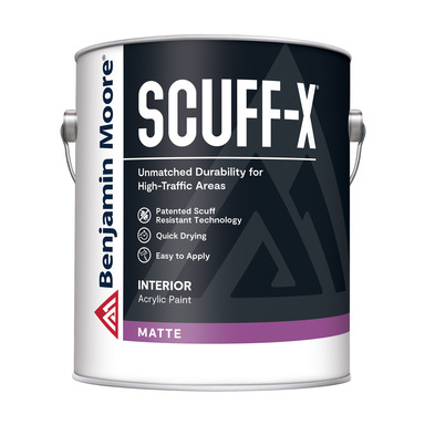 INTR LTX WL PAINT WT 1G