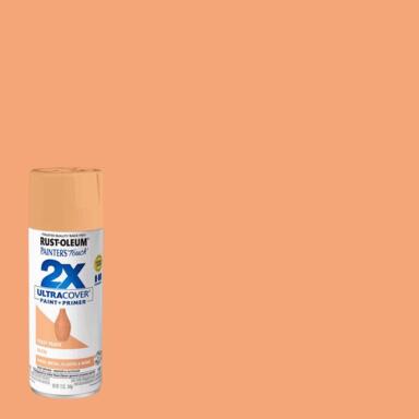 SPRYPNT FUZ PEACH 12OZ