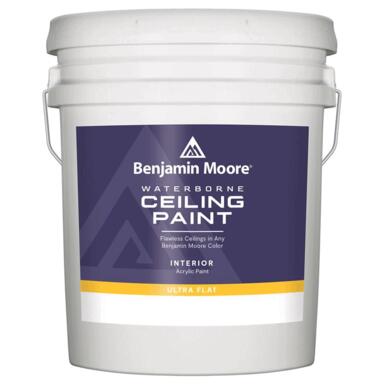 BM CEILING FLT 5G