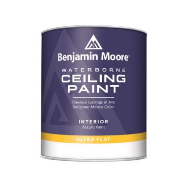 BM CEILING FLT 1X 1Q