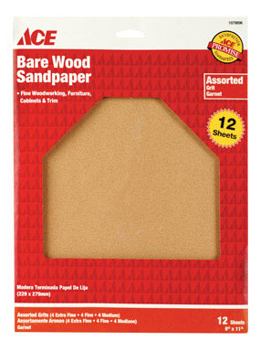 SANDPAPR 9X11GARN AST2PK