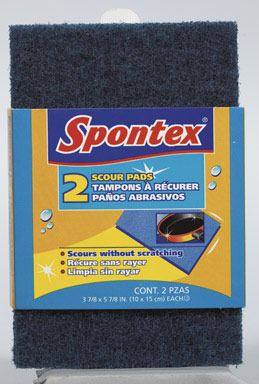 PAD SCOUR ALL SURFACE 2PK