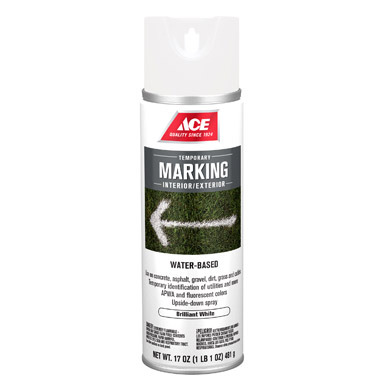 MARKING PAINT WB WHT17OZ