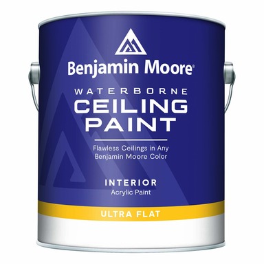 PAINT BM CEILING INT FLT BS1 GAL