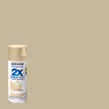 12OZ 2X Fossil Spray Paint