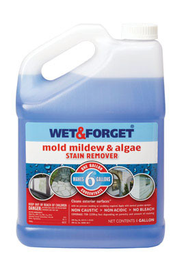 WET & FORGET 1 GAL CA