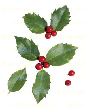 WOOD TIKI MASK WHT/WS GRN PIN 20