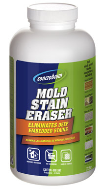 MOLD STAIN ERASER 22.9OZ