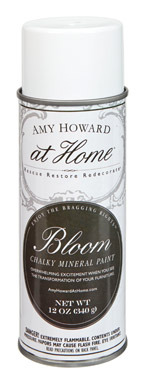 SPRAY PAINT BLOOM 12OZ