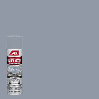 Spray Paint Ace Aluminum