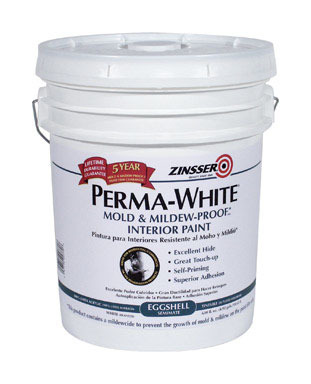 P-W INT EGG WHT  5GAL