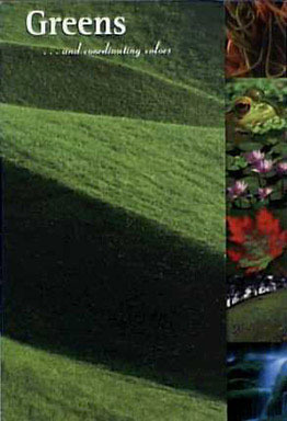 COLOR CARD -GREENS