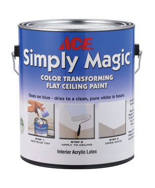 CC CEILING PAINT WHT 1GL