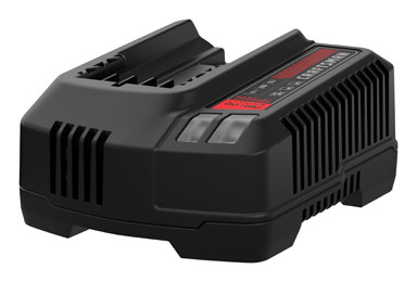 20V MAX Battery Rapid Charger