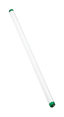 BULB FLR T8 24" SW 17W