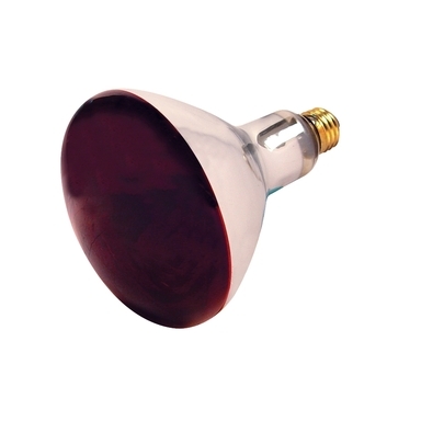 250W Red Infrared Heat Bulb