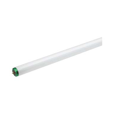 FLRST BLB T12 DL 96" 2PK
