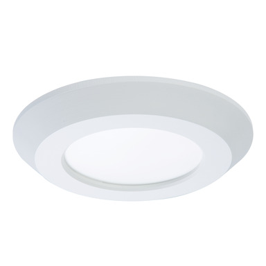 Dimmable Recessed Down Lgt 4"