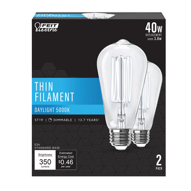 40W Filament LED Bulb Daylight