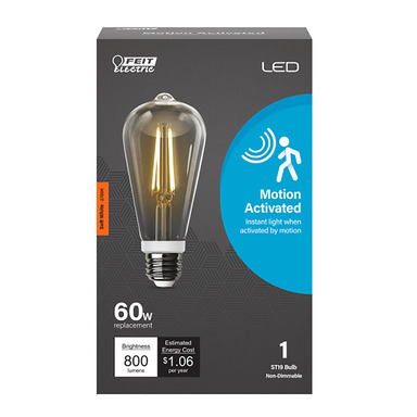 60W LED Motion Bulb SW