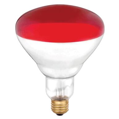 INCAND BULB 250W E26