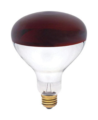 Bulb-250w R-40 Red Heat Lamp