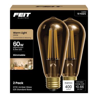 FIL LED BULB ST19 E26 1W
