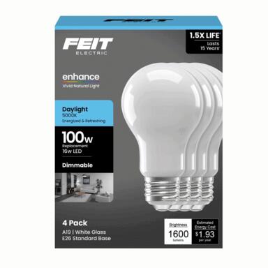 Ft Led A19 Dl 100w 4pk