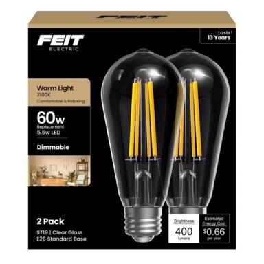 2PK 60W ST19 WW Filament Bulb