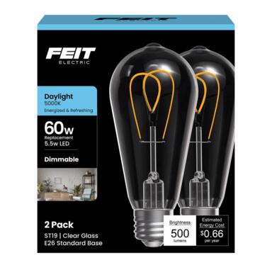 Ft Led St19 Dl 60w 2pk
