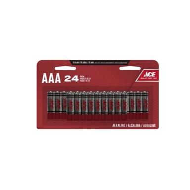 BTRS ALKLN AAA 24PC