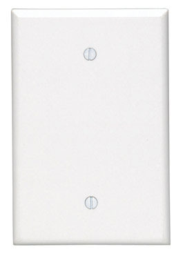 Departments - 1G BLANK WALL PLATE JUMBO