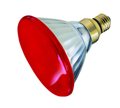 BULB 100W PAR38 RED FLD