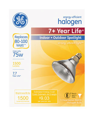 Bulb 75w 8400h Par Spot