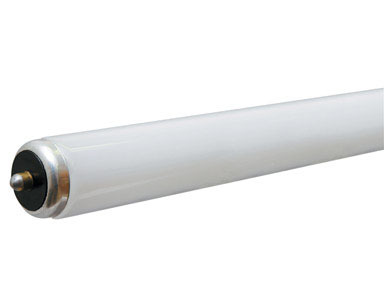 BULB-FLUR T8 ECO SP41 8'