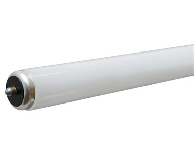 BULB-FLUR F96T8 SPX35