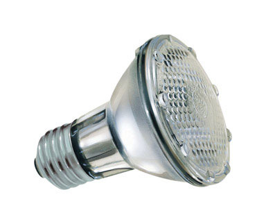 BULB HAL FLOOD38W PAR20