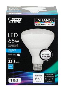 Feit Electric BR30 E26 (Medium) LED Bulb Daylight 65 W 1 pk