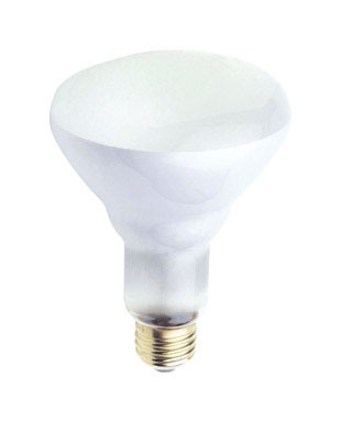 12PK Floodlight Bulb 65W White