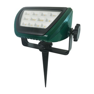 ACE FLOODLIGHT 3 COLOR