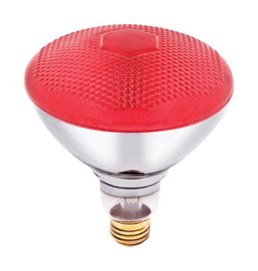 Flood Light Bulb R38 100W RED