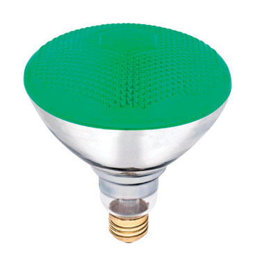 Flood Light Bulb R38 100W GREEN