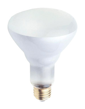 Bulb Fld Br30 Frst65w2pk