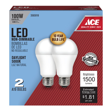2PK A19 LED Bulb Daylight 100W
