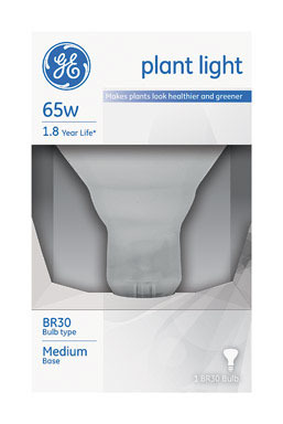 BULB PLANT 65R30/PL GE